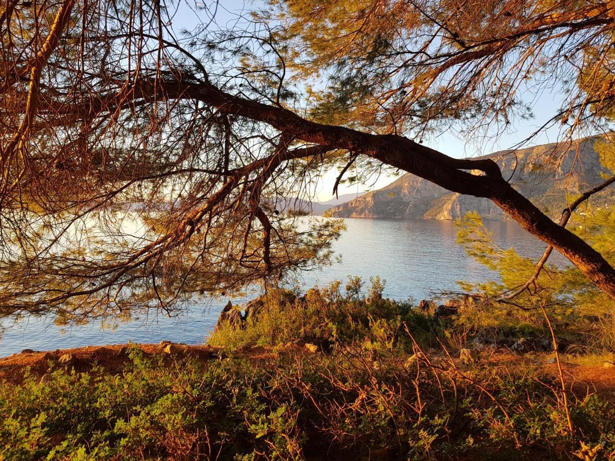 Bed And Breakfast Tenuta Palmieri Only Adult Maratea Exterior foto